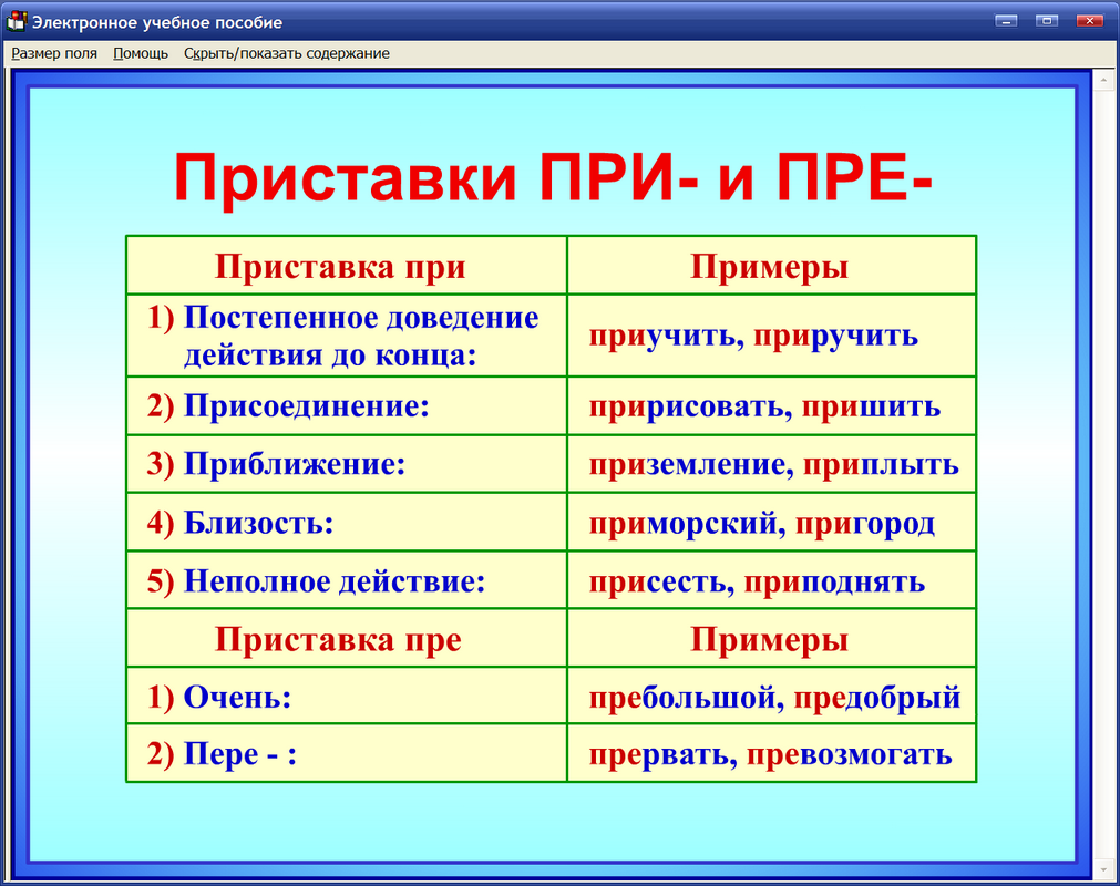 Главные правила русского языка в картинках