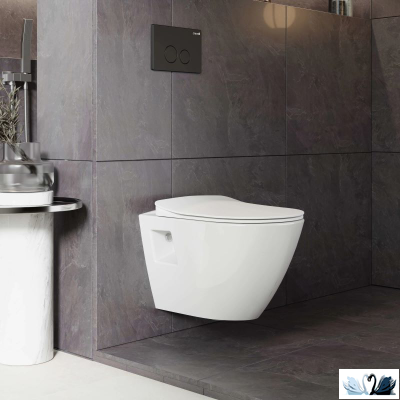 Чаша унитаза Creavit Terra TP329-11CB00E-0000 (TP329.00100), подвесная, безободковая