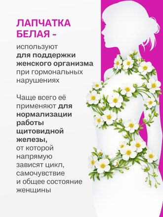 Экстракт лапчатки белой для внутреннего применения 100 гр.