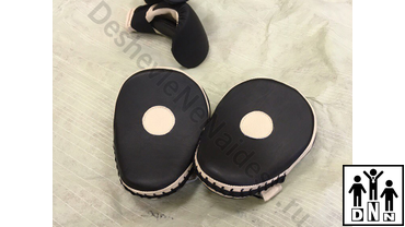 Боксёрские лапы / тайские пэды