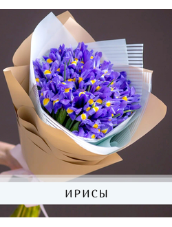 Ирисы
