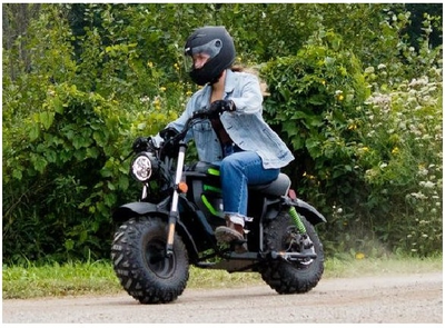 Мотоцикл Greenworks MB 53000
