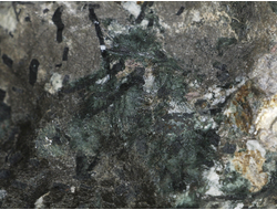 Эвдиалит, Эгирин в породе, Россия, Кольский п-ов, Хибины (180*120*90 мм, 2534 г) №20636