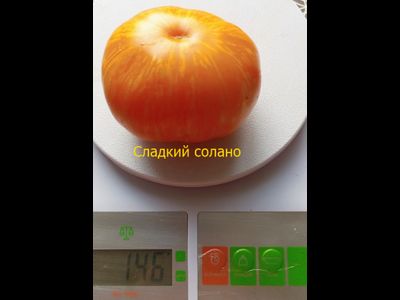 Томат Сладкий Солано (AAA Sweet Solano)