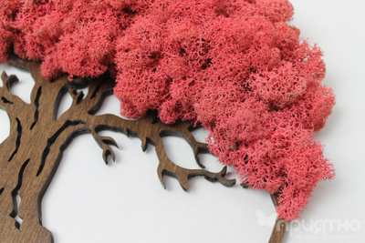 ЖИВАЯ ЭКО-КАРТИНА 1026