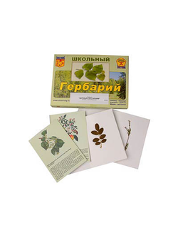 Гербарий "Деревья и кустарники" (22 вида, с иллюстрациями)