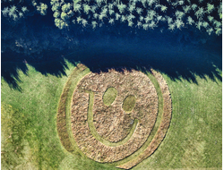 Картина обогреватель, спутниковое фото смайлика из травы на территории школы парапланеризма