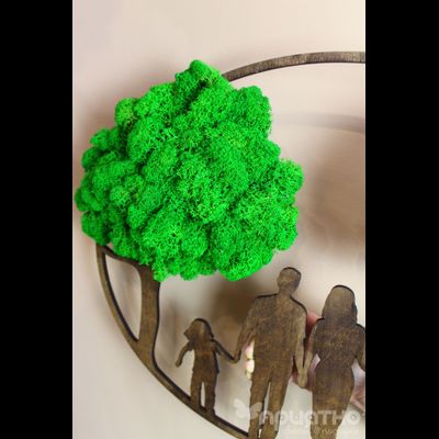 ЖИВАЯ ЭКО-КАРТИНА 1010