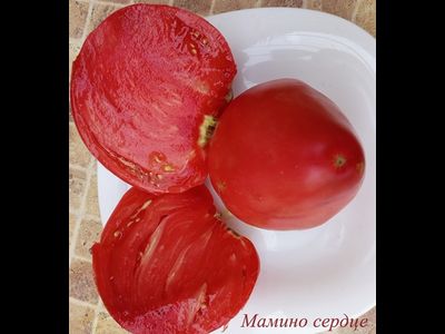 Томат Мамино сердце (Mom’s Heart) Румыния