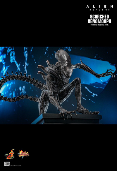 ПРЕДЗАКАЗ - Чужой (Ромул) - Коллекционная ФИГУРКА 1/6 Scorched Xenomorph Alien: Romulus (MMS784) - Hot toys ?ЦЕНА: 48600 РУБ.?