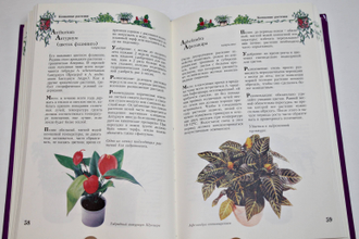 Гельмут Я. Комнатные растения. 365 советов. М.: Внешсигма. 2000г.