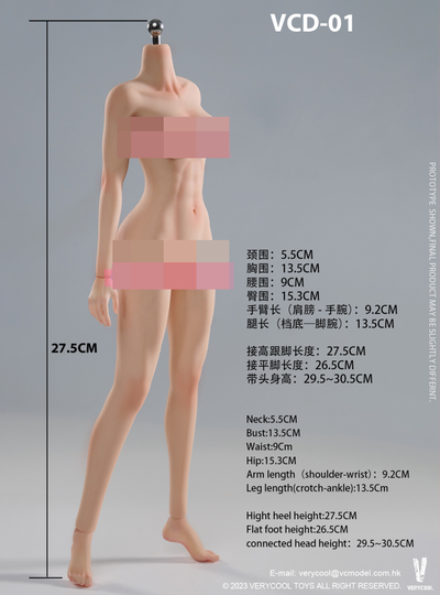 Супер-подвижное бесшовное женское тело (ТЕЛОИД) 1/6 - Articulated Silicone Medium Bust Female Body (VCD-01A) - VERYCOOL