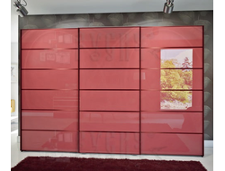 Шкаф-купе Милана 056