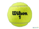 Теннисные мячи Wilson Roland Garros Clay Court x4