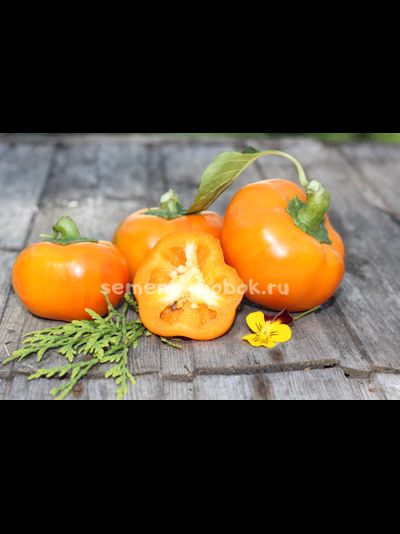 Перец сладкий Фон барон оранжевый, 10 шт.
