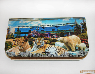 Шкатулка  сувенирная "Зоопарк имени Р.А.Шило"