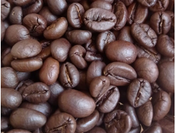 Кофе (Coffea arabica) 1г - абсолю