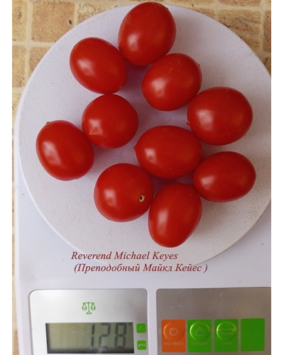 Томат Преподобный Майкл Кейес (Reverend Michael Keyes)