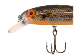 Воблер Bomber Suspending Pro Long A (B15AP-XCHO)