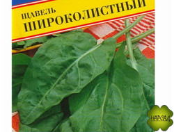 ЩАВЕЛЬ "ШИРОКОЛИСТНЫЙ"