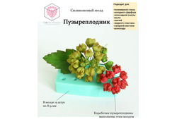 Силиконовый молд "Пузыреплодник"