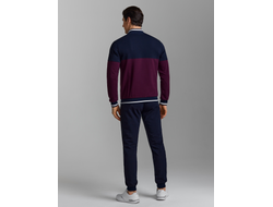 Костюмы  спортивные мужские 11SKM -1315 , трех цветов