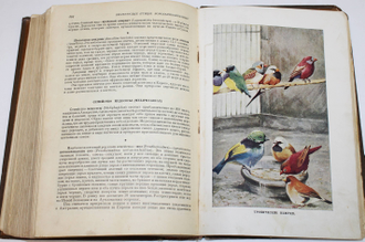 Жизнь животных по А.Э. Брему. Том 4: Птицы. М.: Учпедгиз, 1937.