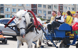 Выход ведущего День Поселения Пеники