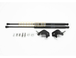 Амортизаторы капота, 2 шт. АвтоУпор для Nissan TIIDA II 2015-2018