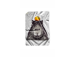 Покрывало Капибара, Kapibara-san №25