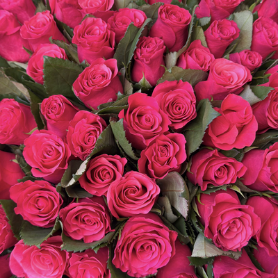 Букет из 101 розы Tacazzi 50 см