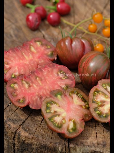 Томат Ярсон 12/1 (Jarson 12/1), 10 шт