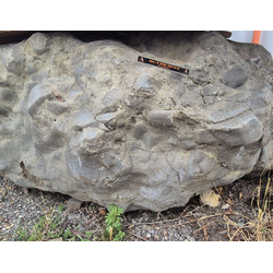 Валун гранитный Рыбка Гриша