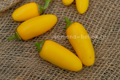 Перец острый Jalapeno NuMex Lemon Spice (Халапеньо Ньюмекс Лимон Спайс), 10 шт