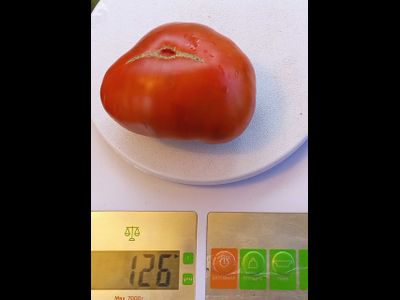 Томат Шоколадный Генри