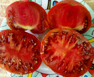 Томат Брендивейн черный  (Brandywine Black)