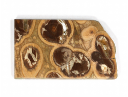 Риолит, яшма, срез полированный, Россия (58*34*5 мм, 24 г) №29777