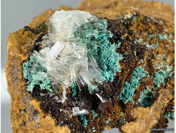 Гемиморфит, розазит (?),  на лимоните. Мексика. 58*47*35мм