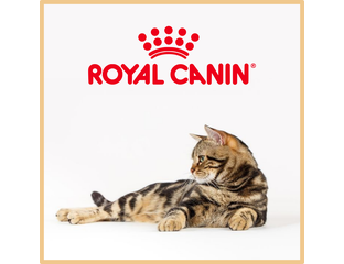Royal Canin (Роял Канин) сухой корм для кошек