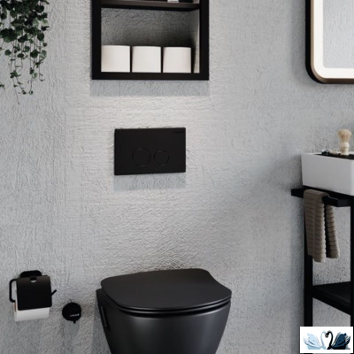 Кнопка смыва Creavit Terra GP9002.01 черная матовая