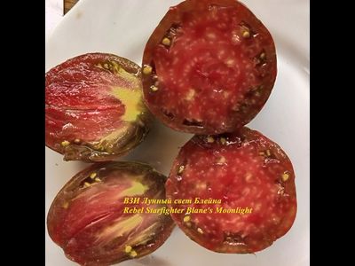 ВЗИ Лунный свет Блейна (RS Blaine's Moonlight)