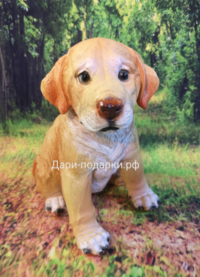 ЛАБРАДОР щенок 24*23см  полистоун Россия 895-012704