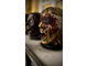 Puzzle of the head