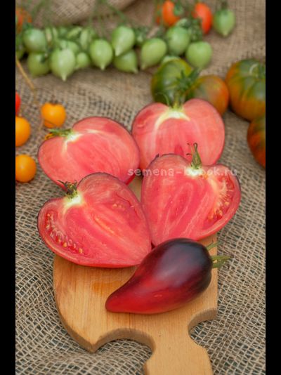 Томат Сержант Пеппер (Sgt. Peppers), 10 шт