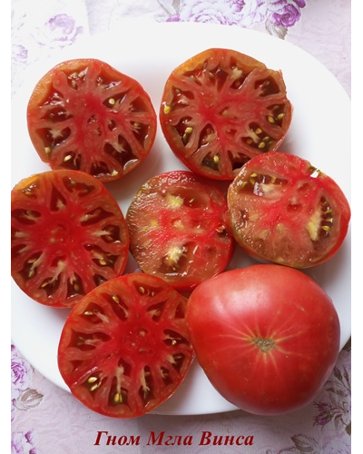 Томат Гном Мгла Винса (Dwarf Vince’s Haze)