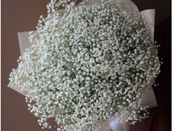 Букет-гигант из гипсофилы "Воздушное облако"