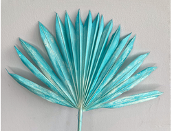 Лист пальмы тиффани
