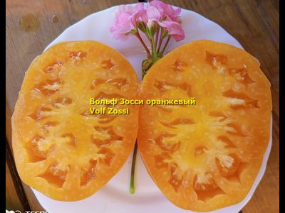 Томат Вольф Зосси оранжевый (Volf Zossi)