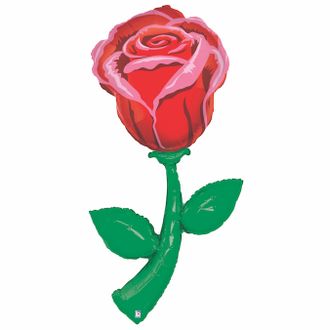 Роза (60''/152 см)