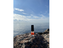 Духи АККОРД: МУЖСКАЯ НЕЖНОСТЬ, 2.5 мл